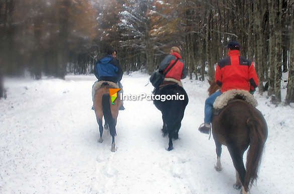 Dejando huellas en la nieve - Punta Arenas