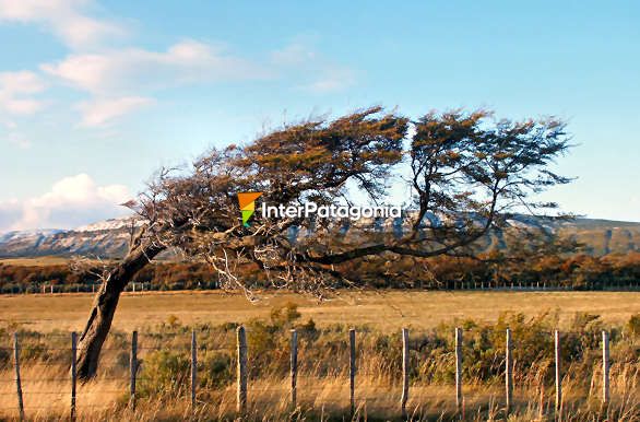 Donde pasa el viento - Punta Arenas