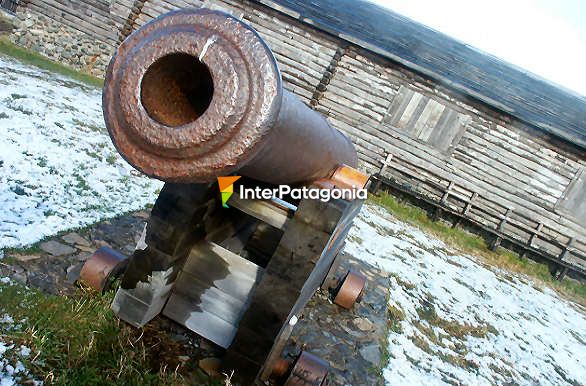 Viejo can en Fuerte Bulnes - Punta Arenas