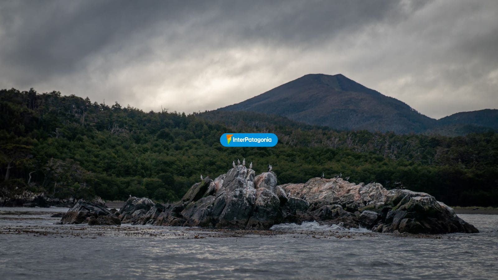 Paisajes - Punta Arenas