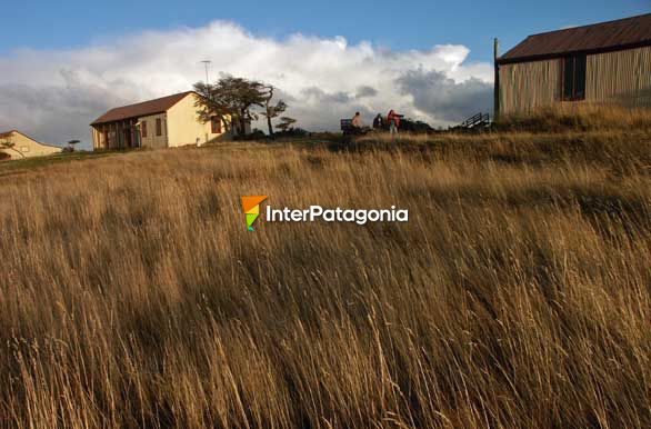 Vida rural - Punta Arenas