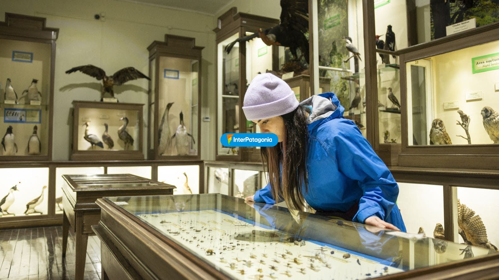 Museos - Punta Arenas