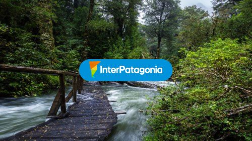 Puente sobre el rio 