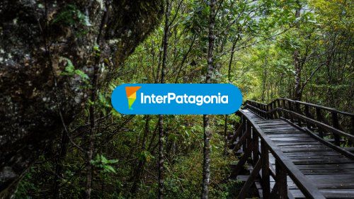 Camino hacia el parque