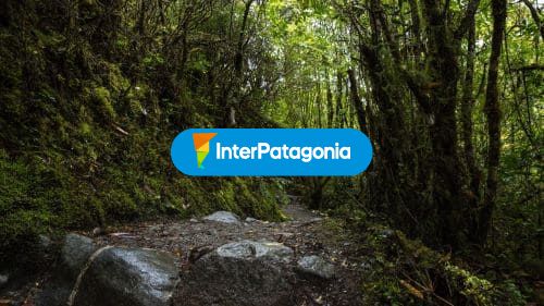 Camino al parque