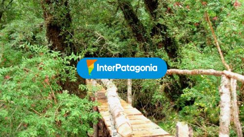 Pasarela a Ventisquero