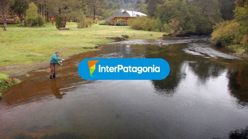 Día de pesca