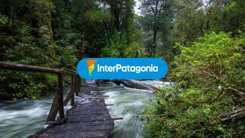 Puente sobre el río