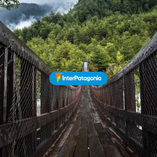 Camino hacia el parque