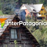Patagonian cypress tiles