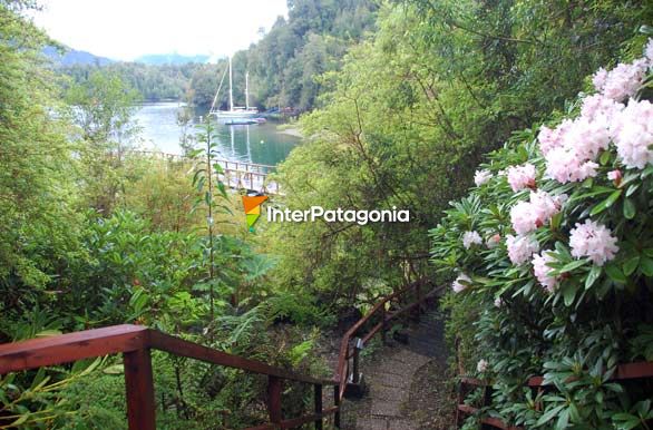 Paisaje en la baha - Puyuhuapi