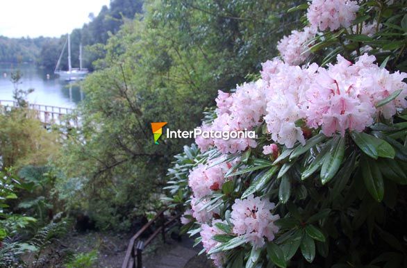 South of silence, Puyuhuapi Hot Springs - Puyuhuapi