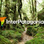 Unexplored and unspoiled, Queulat National Park