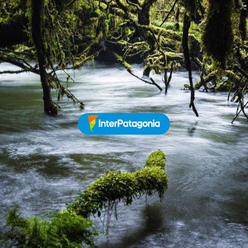 Parque nacional