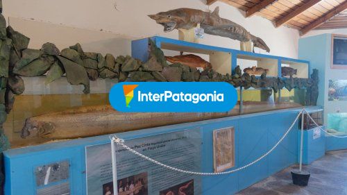Parte del museo