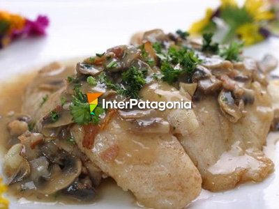 Corvina negra con Salsa de hongos