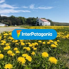 Primavera