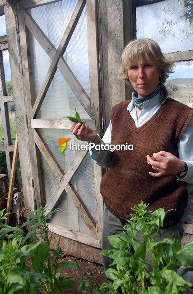 Huerta en estancia Despedida - Ro Grande