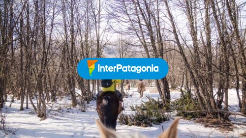 Cabalgatas en la nieve