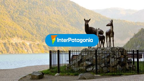 Lago lacar y Ciervos