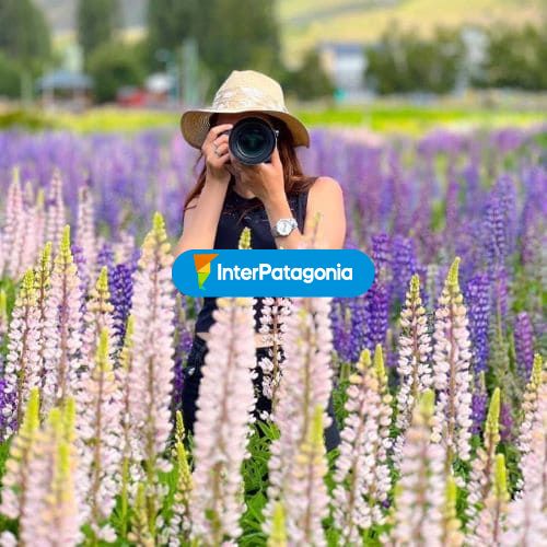Fotografiando flores