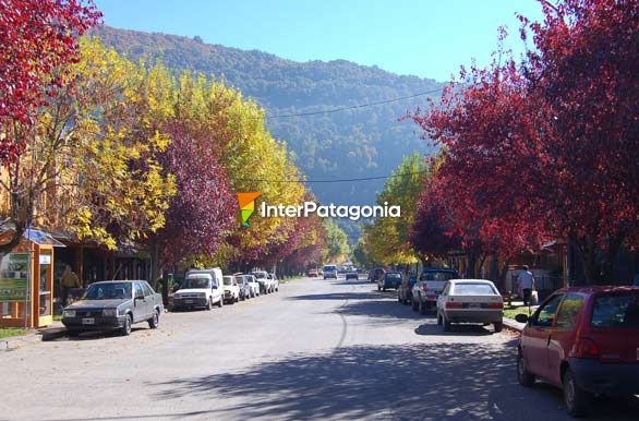 Calle otoal - San Martn de los Andes