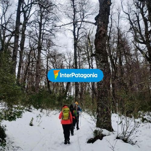 Caminata con nieve