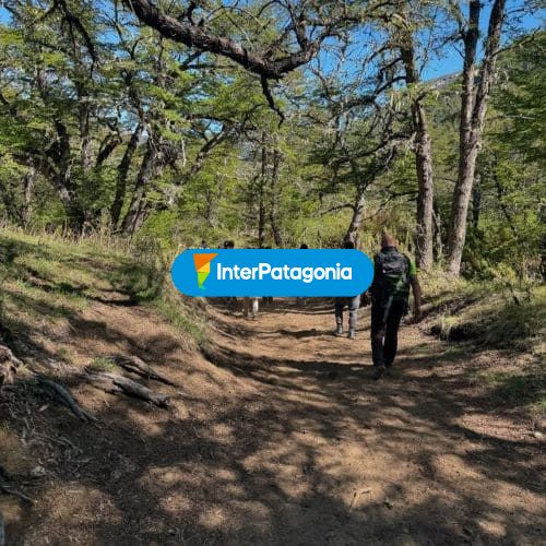 Conociendo caminos