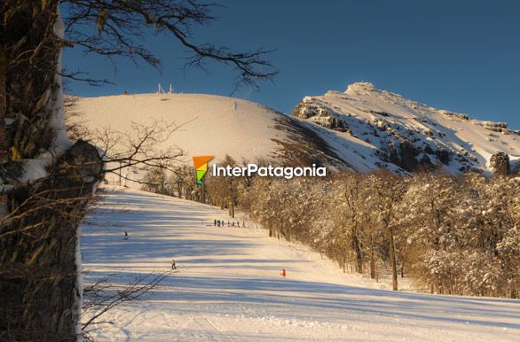 Bosque y nieve, Chapelco - San Martn de los Andes