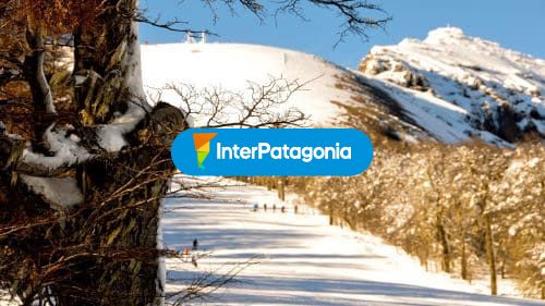 Bosque y nieve, Chapelco