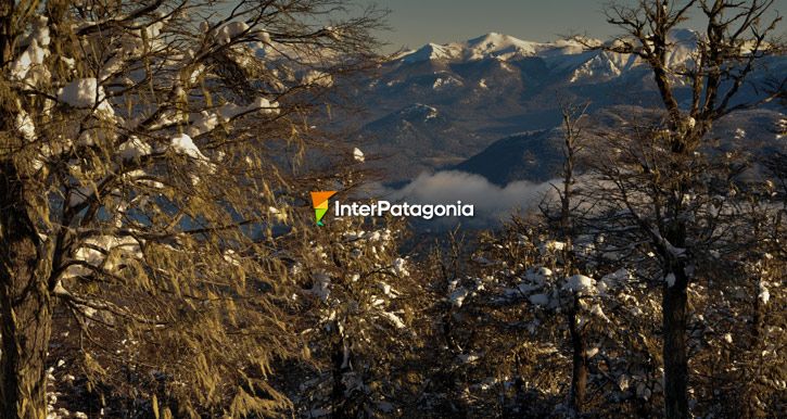 Cordillera de los Andes, desde Chapelco - San Martn de los Andes