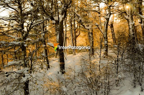 Gran belleza natural, Chapelco - San Martn de los Andes