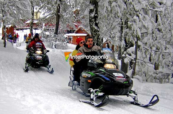 Paseo por el bosque de lengas - San Martn de los Andes