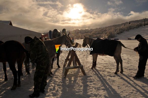 Preparativos para jugar al polo en Chapelco - San Martn de los Andes