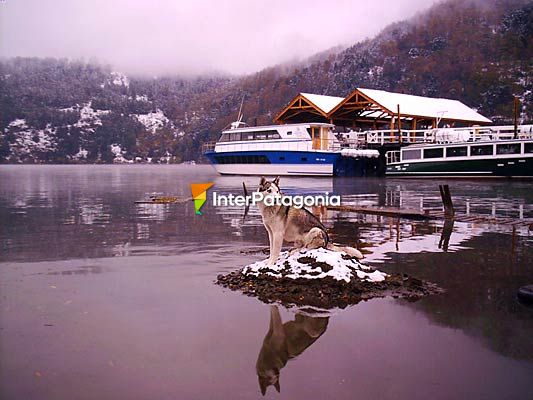 Contemplando el lago - San Martn de los Andes