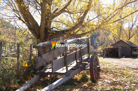 El carro y las hojas - San Martn de los Andes