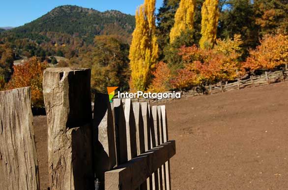 Entrando al otoo - San Martn de los Andes