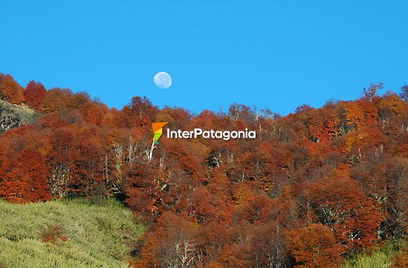 Paisaje otoal - San Martn de los Andes