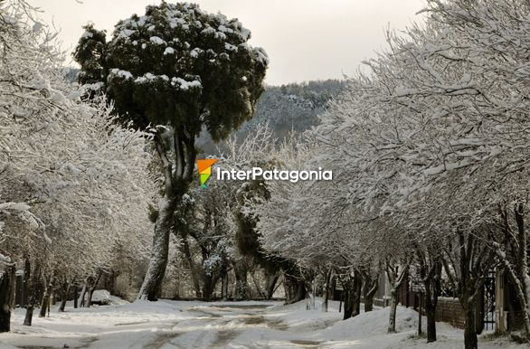 Blanco y negro - San Martn de los Andes