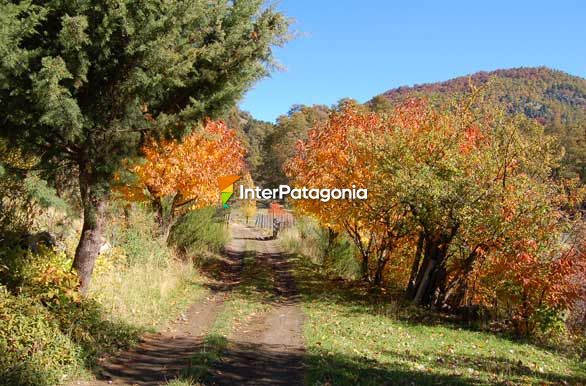 Otoo en la montaa - San Martn de los Andes