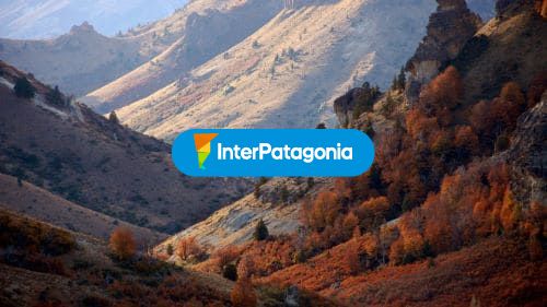 Mayo en Paso Córdoba