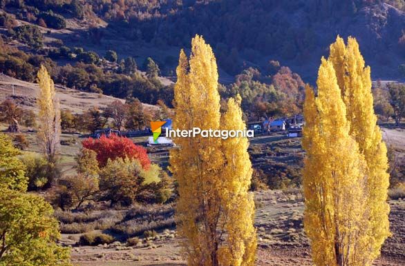 Rojo y amarillo - San Martn de los Andes