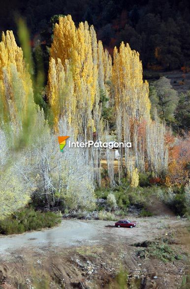 Tenues colores - San Martn de los Andes