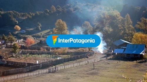 Quemando el otoño