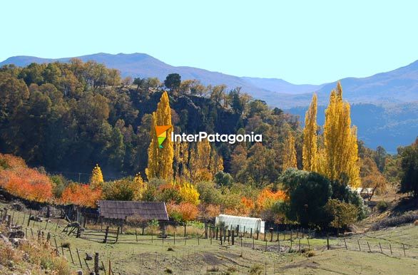 Desde la ruta Siete Lagos - San Martn de los Andes