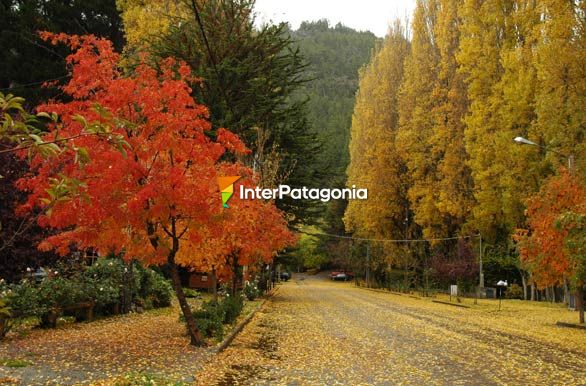 Colores de otoo en la ciudad - San Martn de los Andes