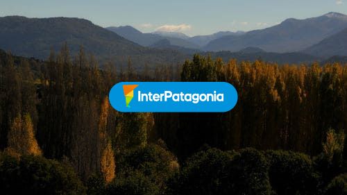 Colores de otoño en la ciudad