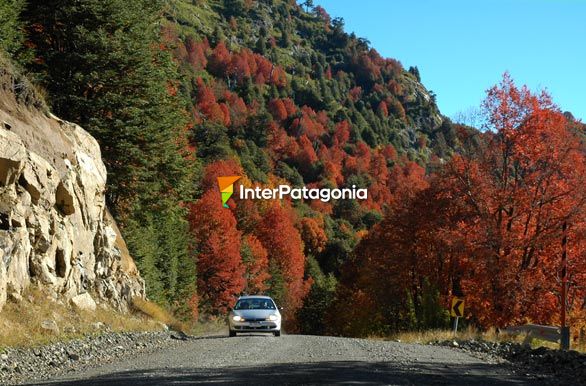 Ripio y otoo - San Martn de los Andes