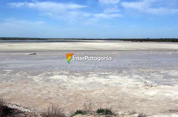 Laguna del Parque Luro - Santa Rosa