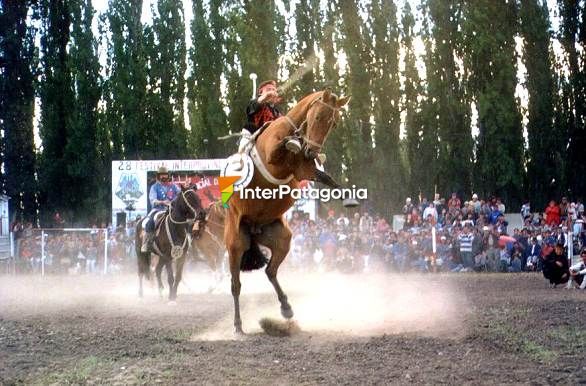 Jineteada - Sarmiento